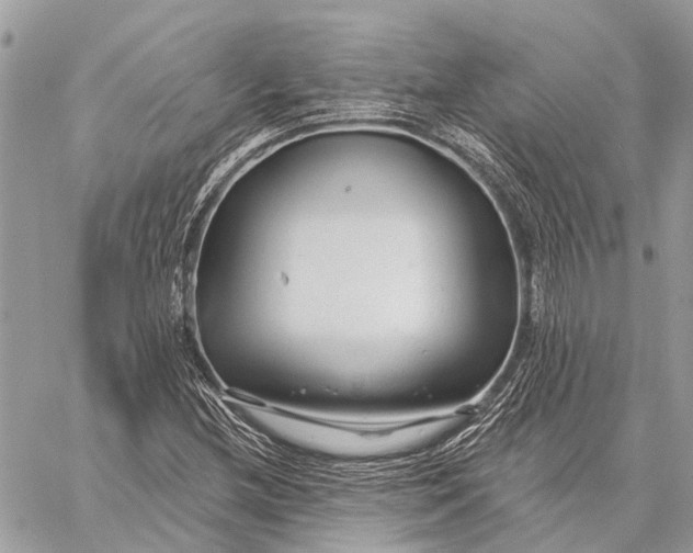 X0000059081212200510281715