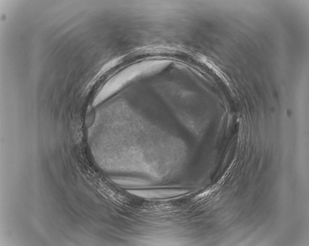 X0000059081213200510281715