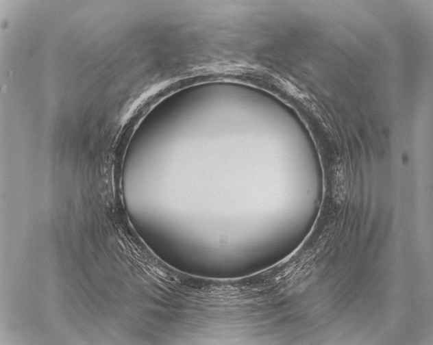 X0000059081214200510281715