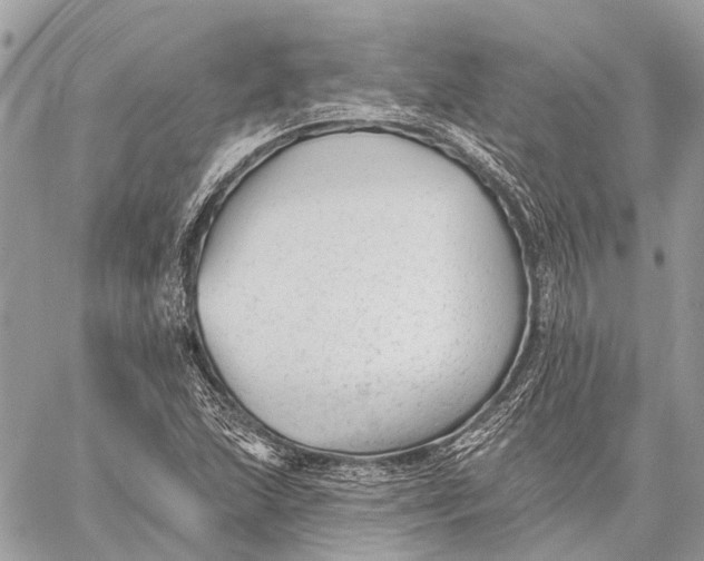 X0000059081215200510281715