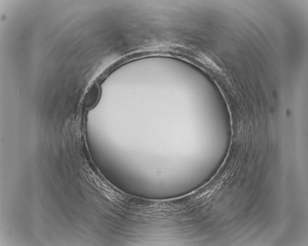 X0000059081216200510281715