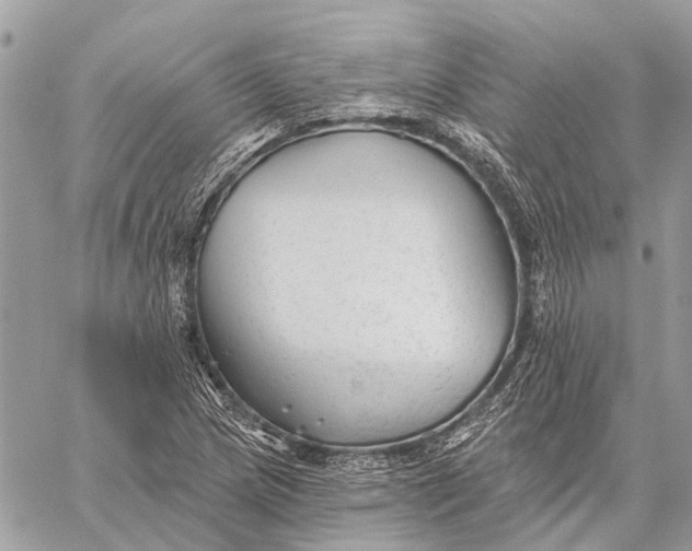 X0000059081217200510281715