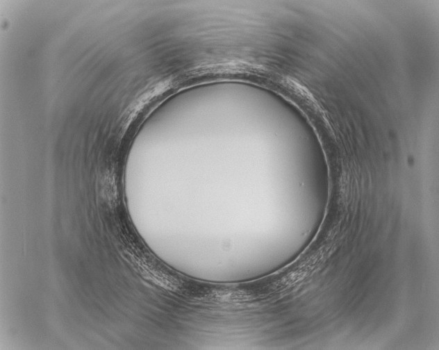 X0000059081218200510281715