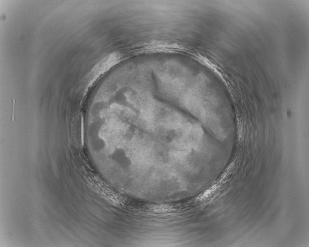 X0000059081219200510281715