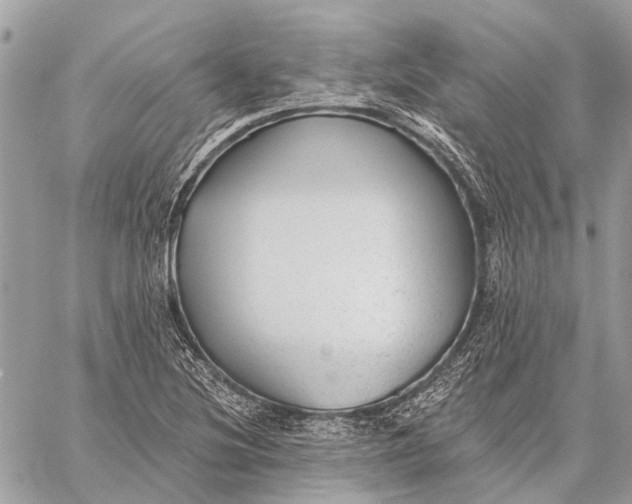 X0000059081220200510281715