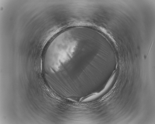 X0000059081221200510281715