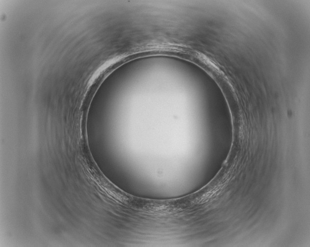 X0000059081222200510281715