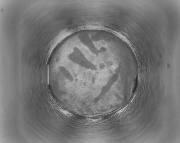 X0000059081223200510281715