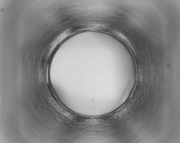 X0000059081227200510281715