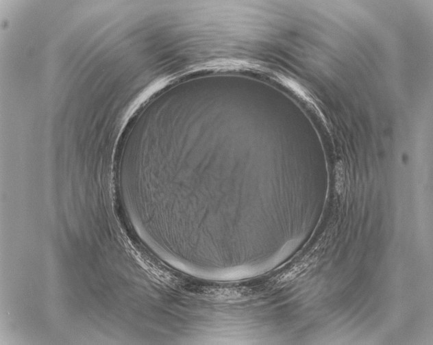 X0000059081229200510281715