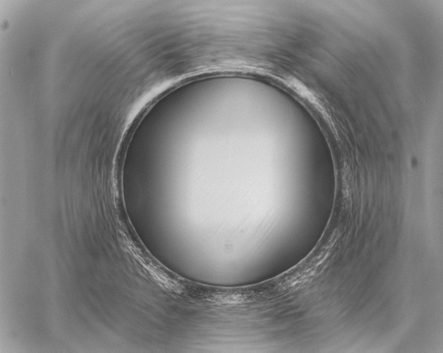 X0000059081230200510281715