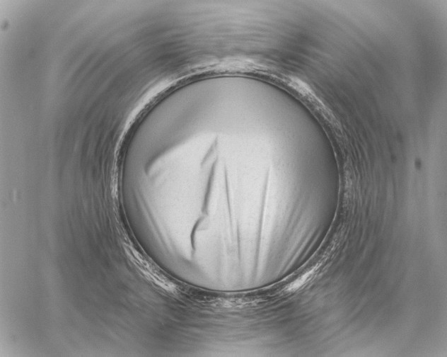 X0000059081232200510281715