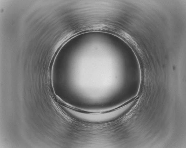 X0000059081234200510281715