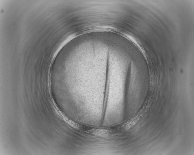 X0000059081235200510281715