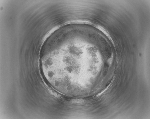 X0000059081237200510281715