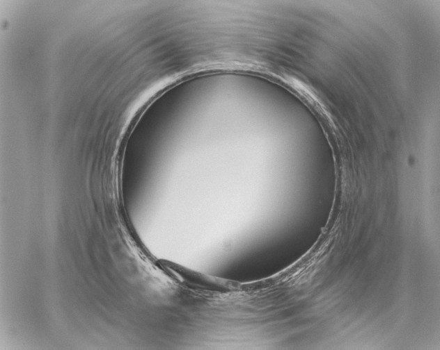 X0000059081238200510281715