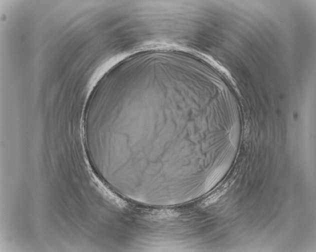 X0000059081239200510281715