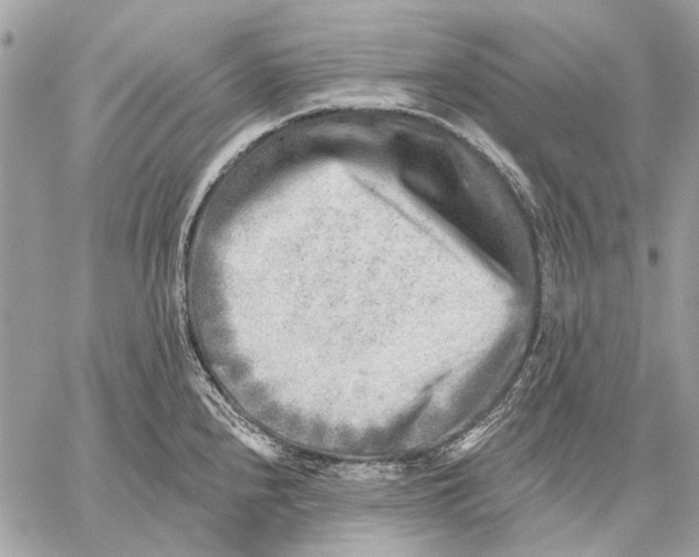 X0000059081240200510281715