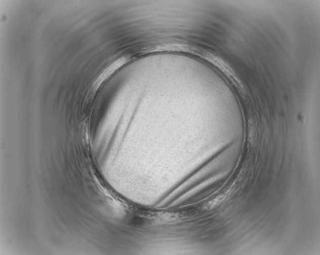 X0000059081241200510281715