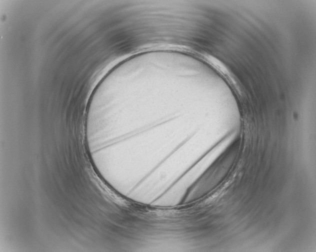 X0000059081244200510281715