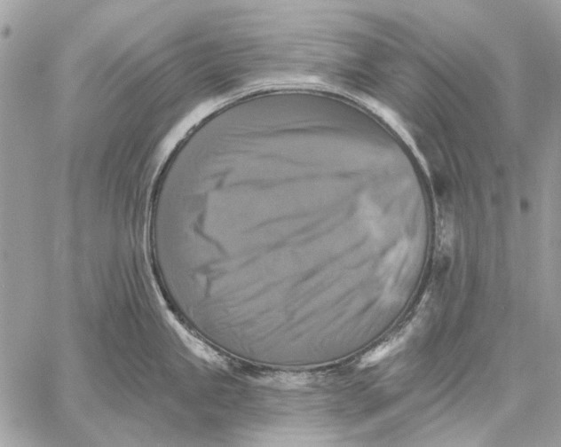 X0000059081245200510281715