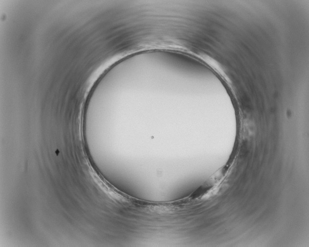 X0000059081246200510281715