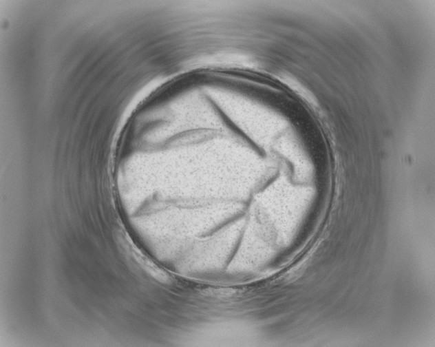 X0000059081248200510281715