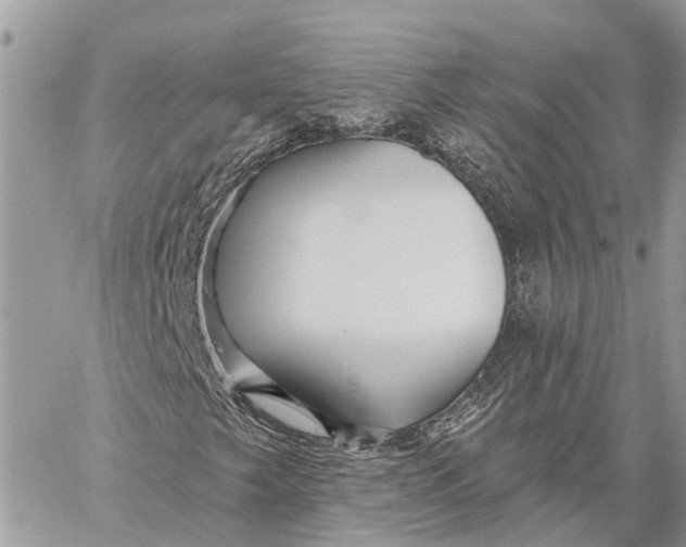 X0000059081249200510281715