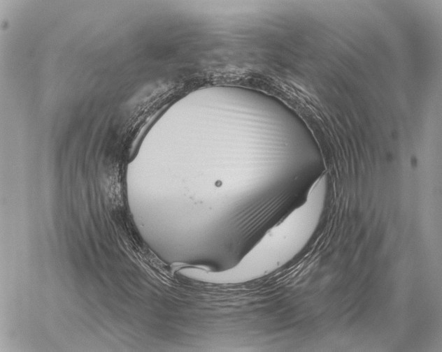 X0000059081252200510281715