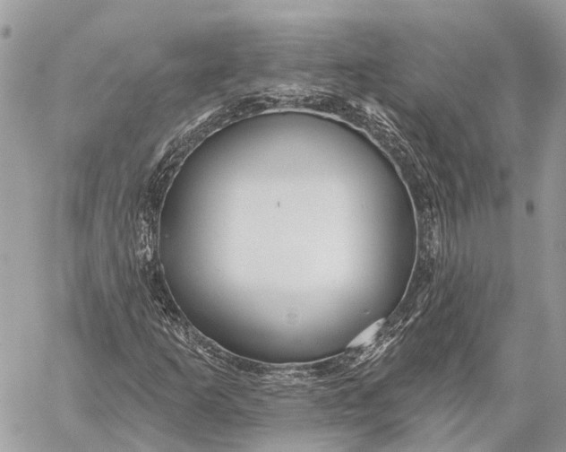 X0000059081253200510281715