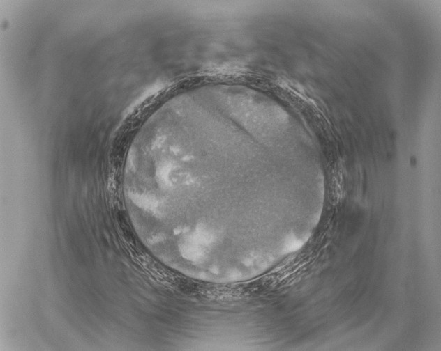 X0000059081254200510281714