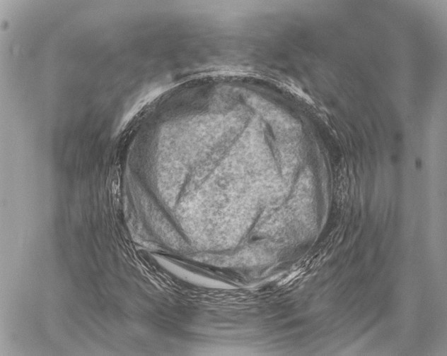 X0000059081255200510281714