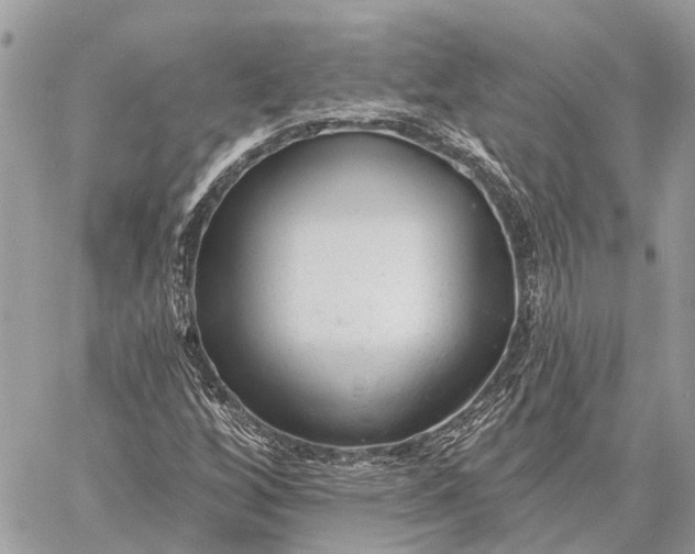 X0000059081256200510281714