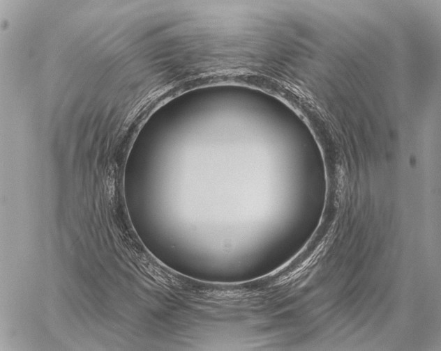 X0000059081257200510281714