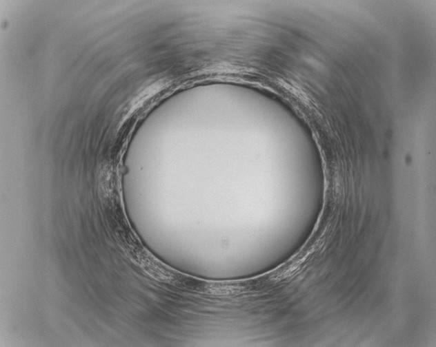 X0000059081258200510281714