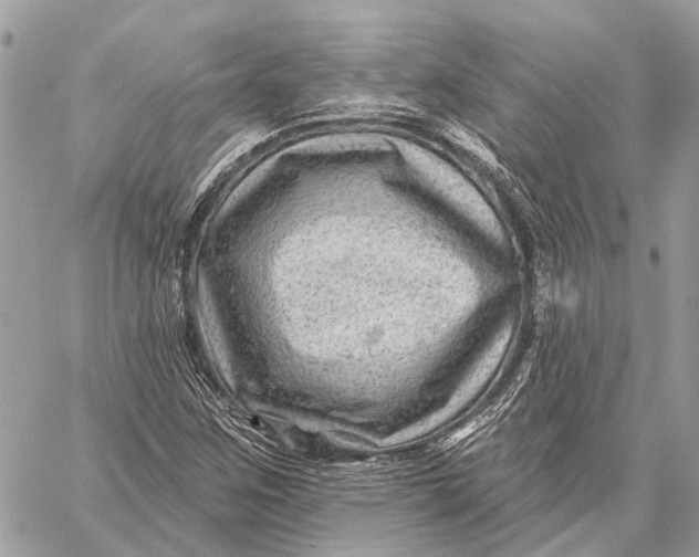 X0000059081259200510281714