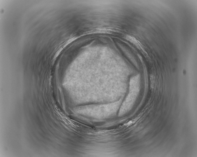 X0000059081260200510281714