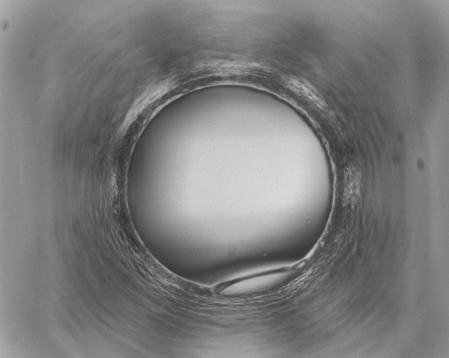 X0000059081261200510281714