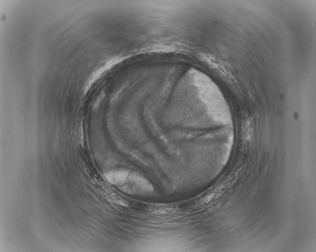 X0000059081262200510281714