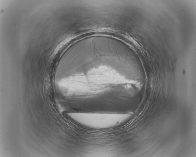 X0000059081263200510281714