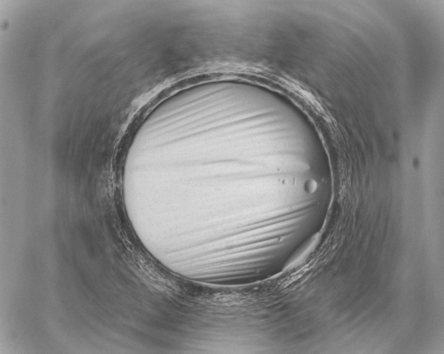 X0000059081264200510281714