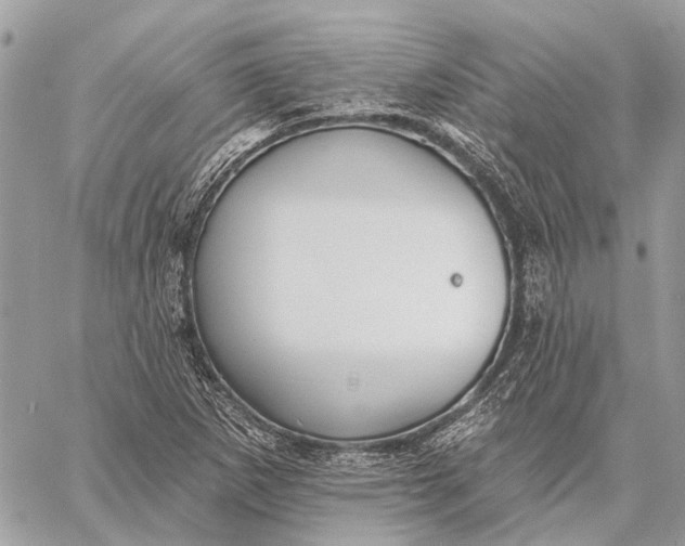 X0000059081265200510281714