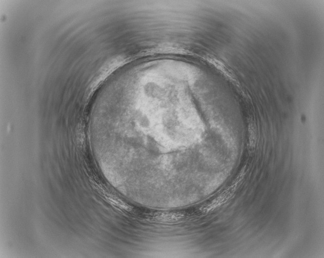 X0000059081266200510281714