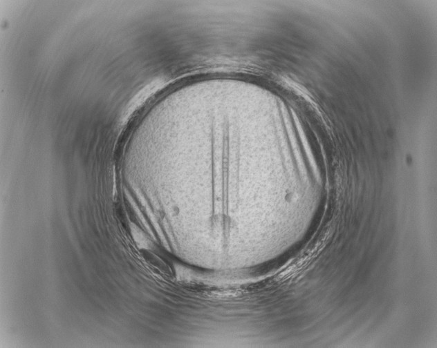 X0000059081267200510281714