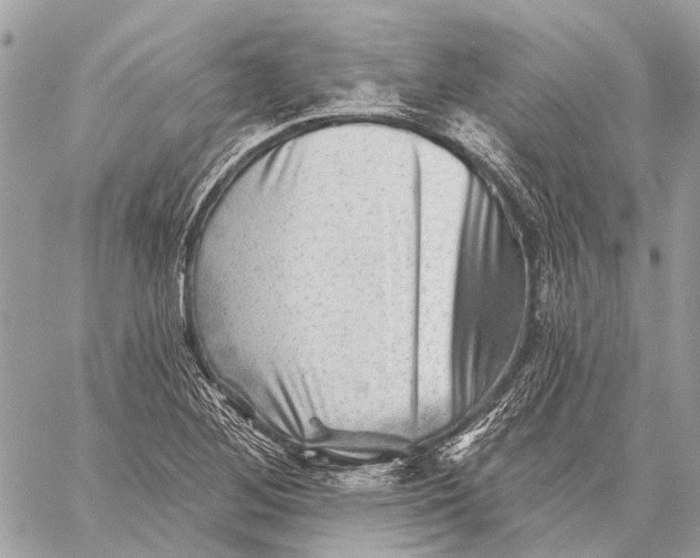 X0000059081268200510281714