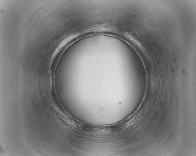 X0000059081270200510281714