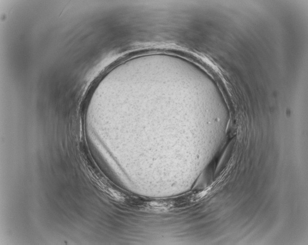 X0000059081271200510281714