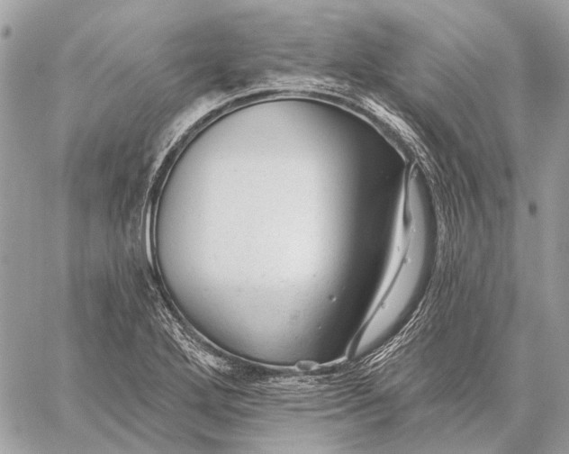 X0000059081272200510281714