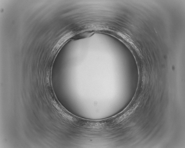 X0000059081273200510281714