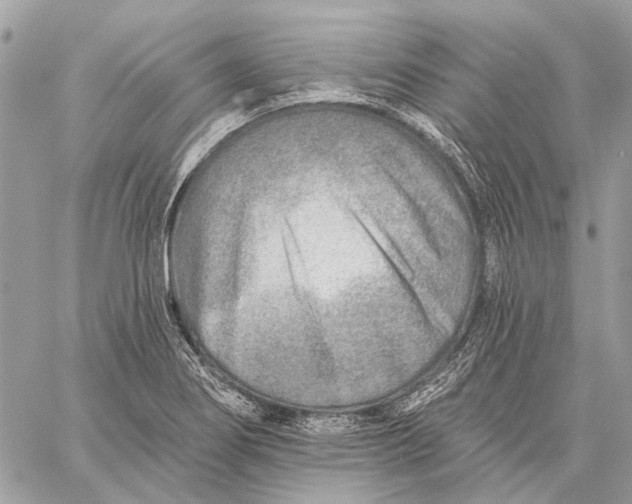 X0000059081274200510281714